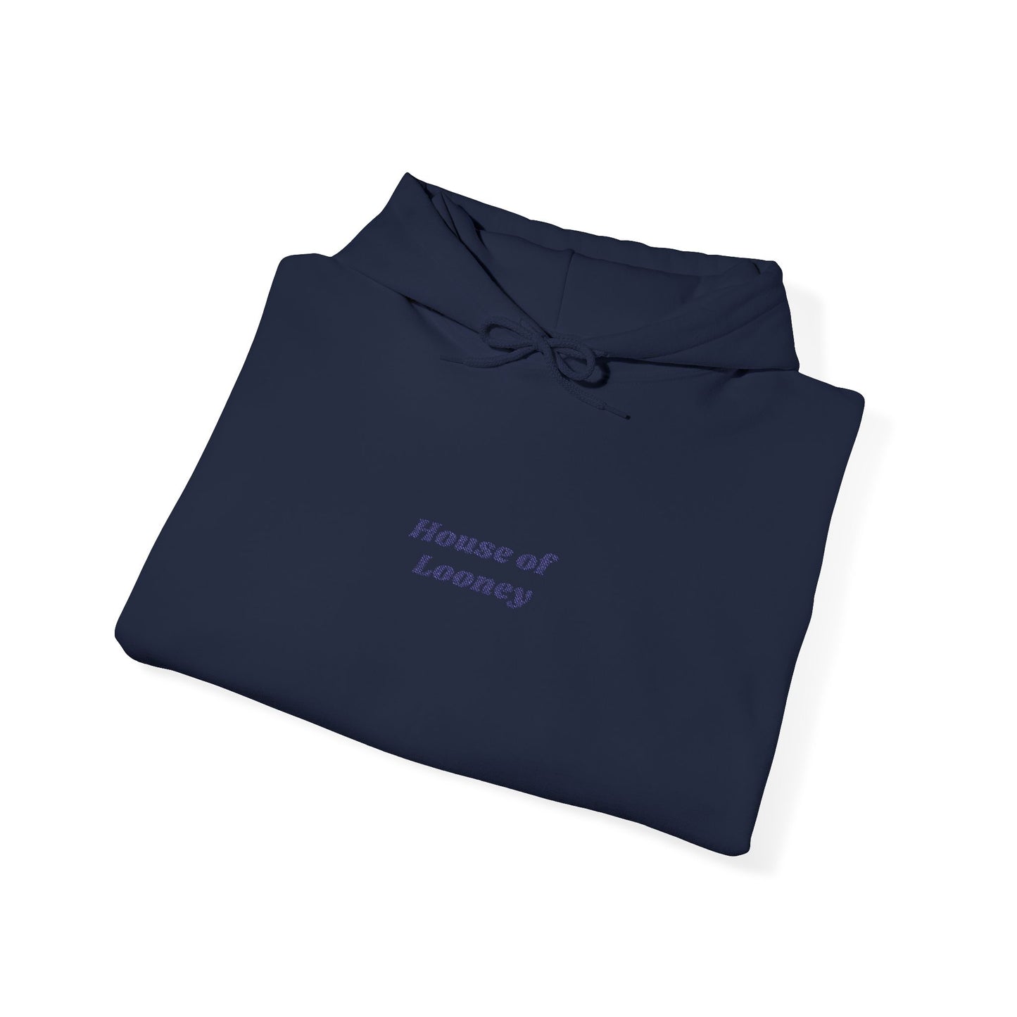 Royal Modern Embroidered Hoodie