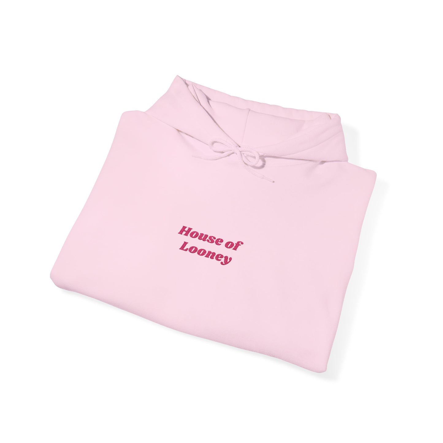 Pink Modern Embroidered Hoodie