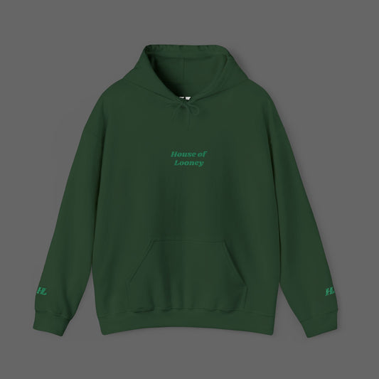 Green Modern Embroidered Hoodie