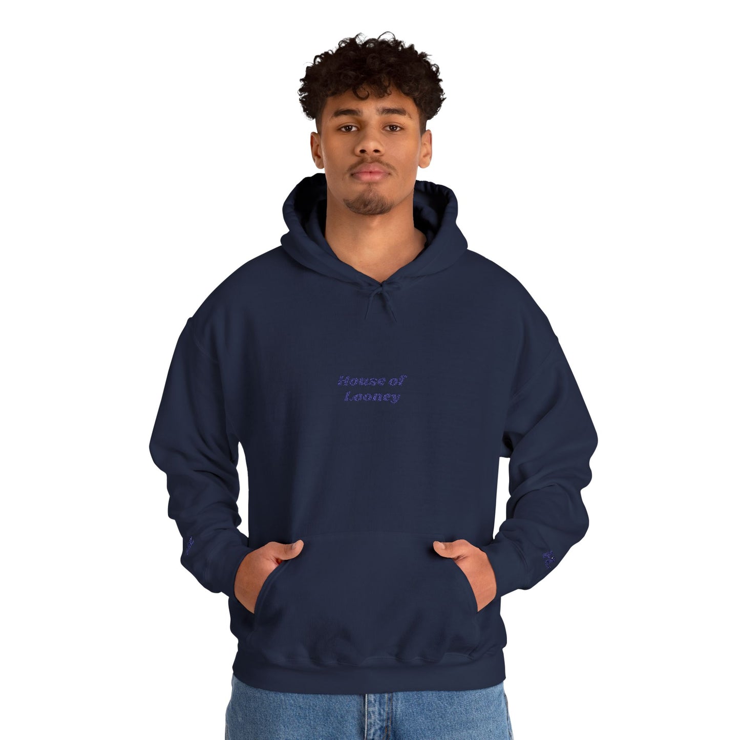 Royal Modern Embroidered Hoodie