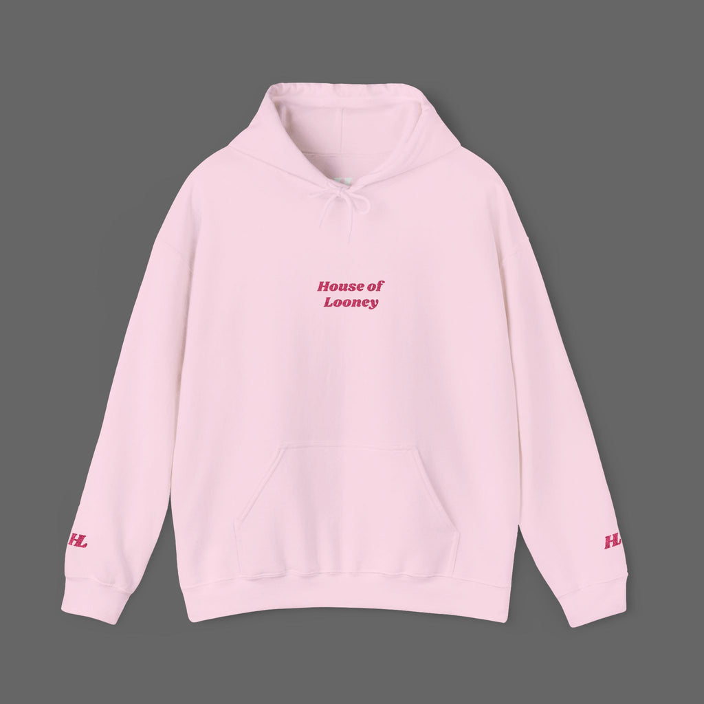 Pink Modern Embroidered Hoodie