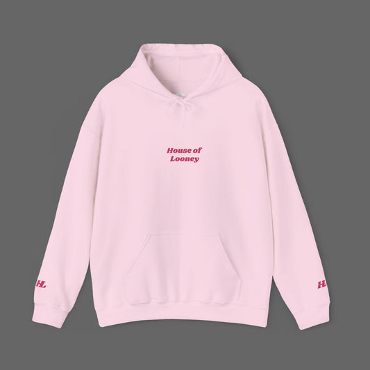 Pink Modern Embroidered Hoodie